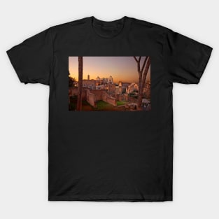 The ancient Roman Forum T-Shirt